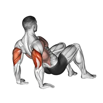 Triceps Dips Floor