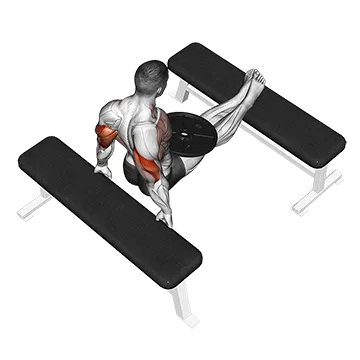 Weighted Bench Dip