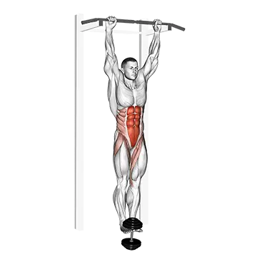Weighted Hanging Leg Hip Raise