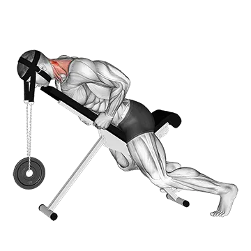 Weighted Lying Neck Extension (With Head Harness)