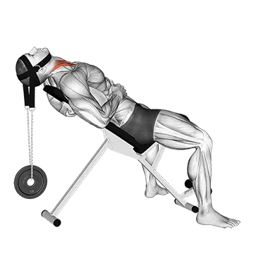 Weighted Lying Neck Flexion (With Head Harness)