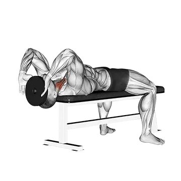 Weighted Lying Neck Flexion