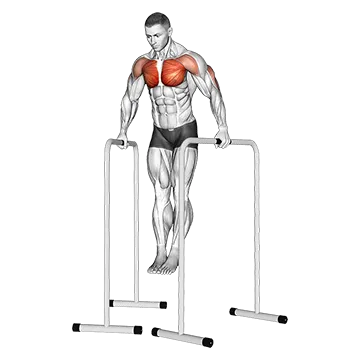 Wide Grip Chest Dip On High Parallel Bars
