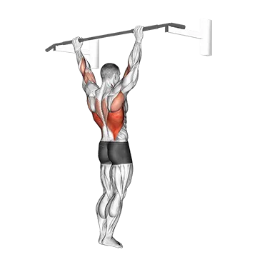 Wide Grip Pull Up