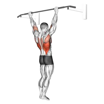 Wide Grip Rear Pull Up