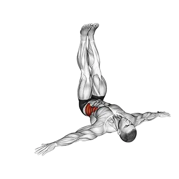 Wipers (Straight Leg)