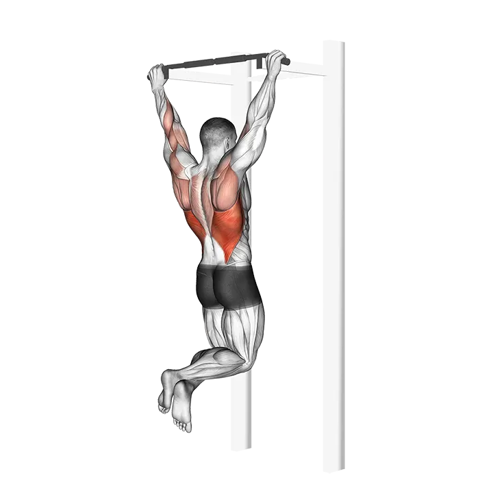 Pull-Up