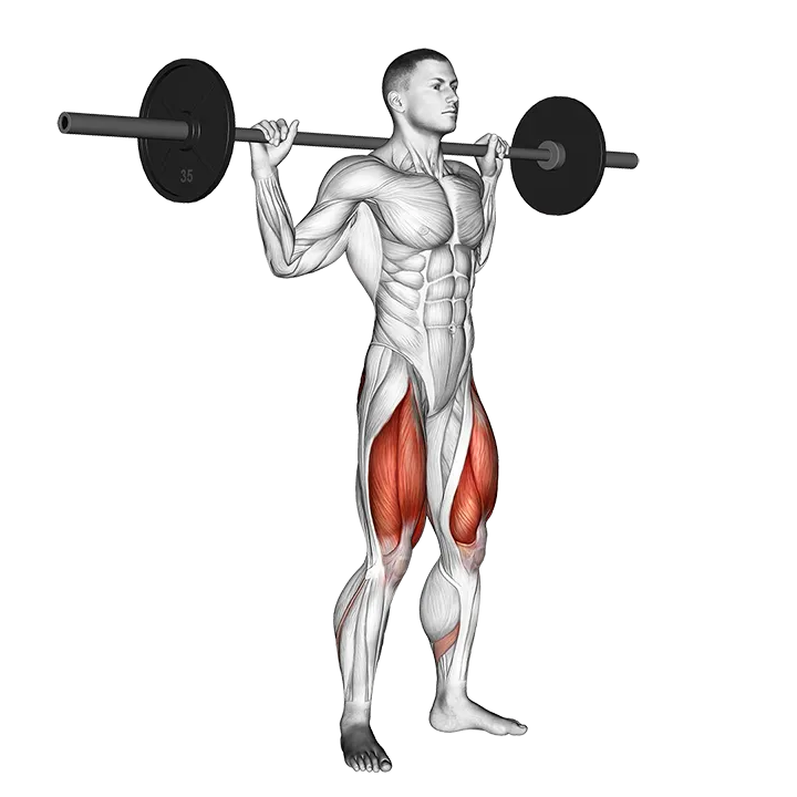 Barbell Squat